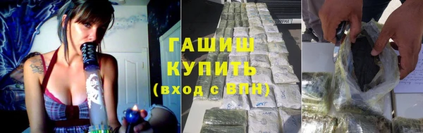 прущие грибы Верхний Тагил