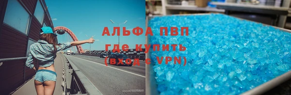 прущие грибы Верхний Тагил