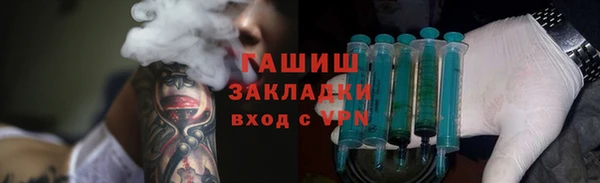 прущие грибы Верхний Тагил