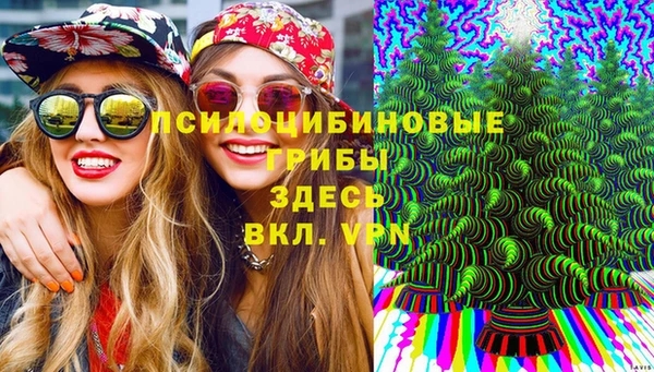 шишки Володарск