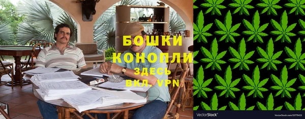 шишки Володарск