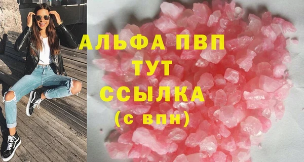 прущие грибы Верхний Тагил