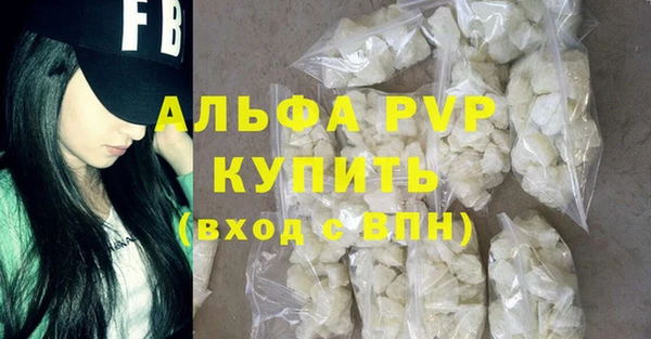 прущие грибы Верхний Тагил
