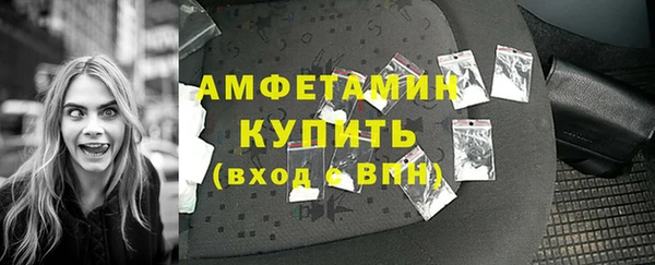 прущие грибы Верхний Тагил