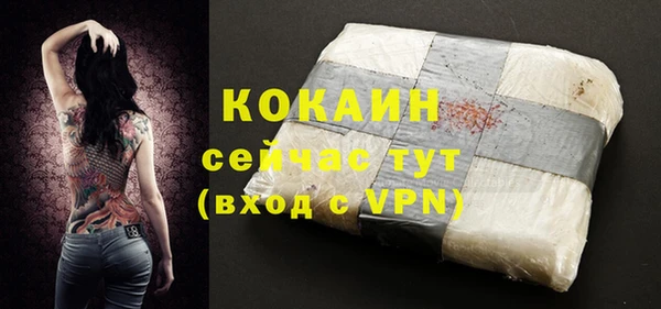 прущие грибы Верхний Тагил