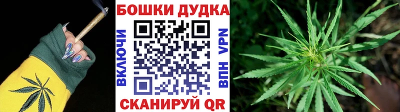 Бошки марихуана THC 21%  Купить где  Козельск 